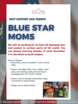 Blue Star Moms - Help support our troops!